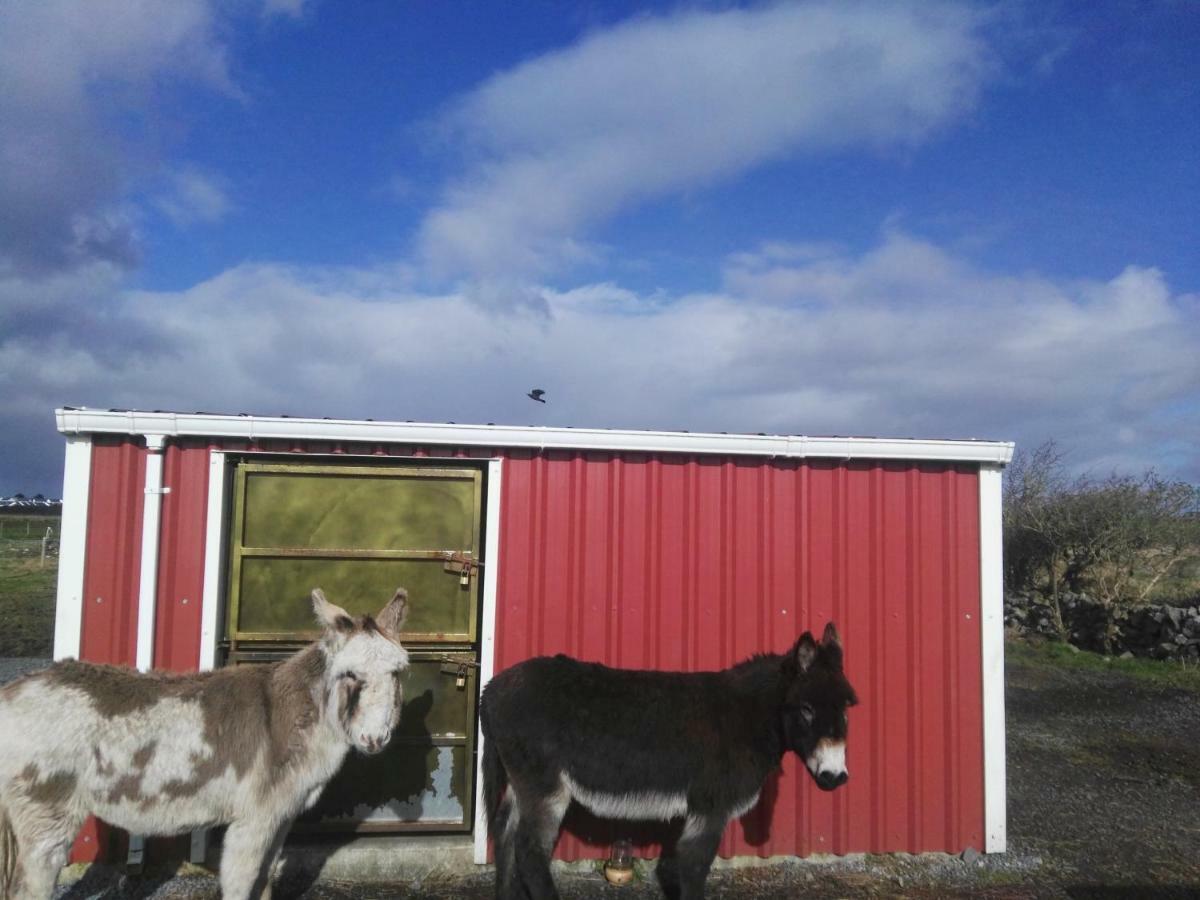 The Wild Atlantic Way Barn Villa Оранмор Екстериор снимка